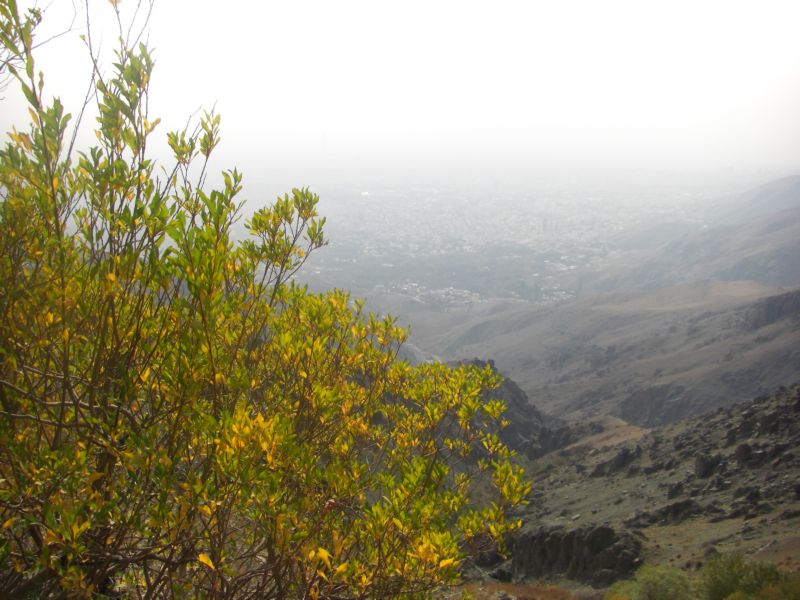 [tehran+mountain+fall.JPG]