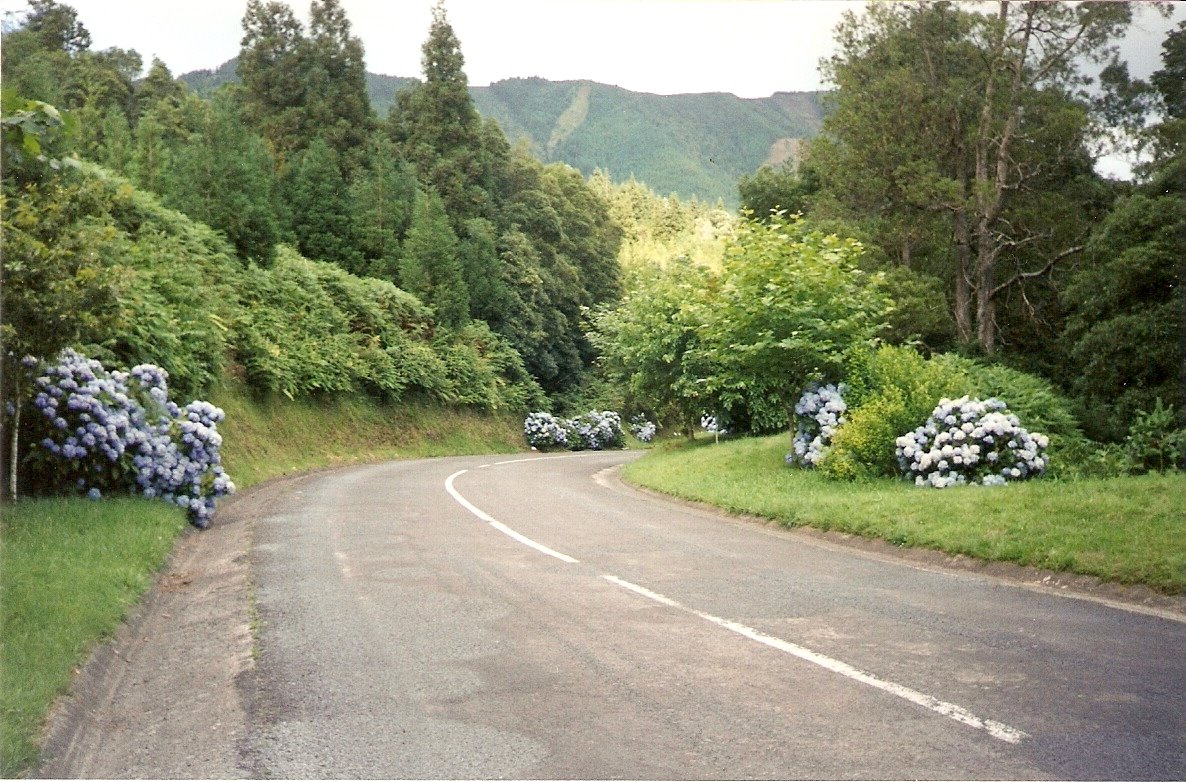 [Digitalizar0001.jpg]