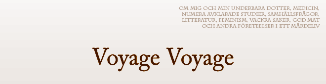 Voyage Voyage