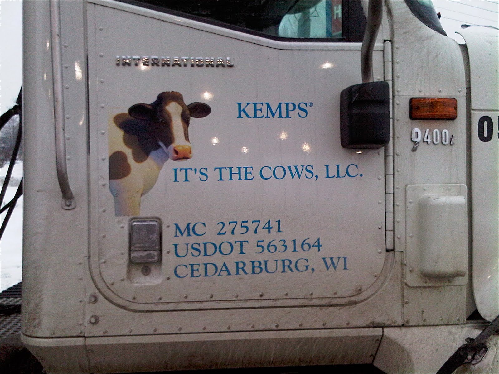 [cows+on+truck+door.jpg]
