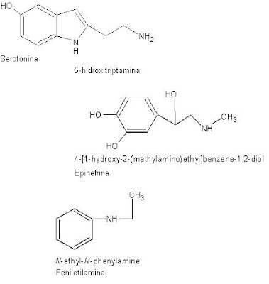 A química do Amor A química do Amor