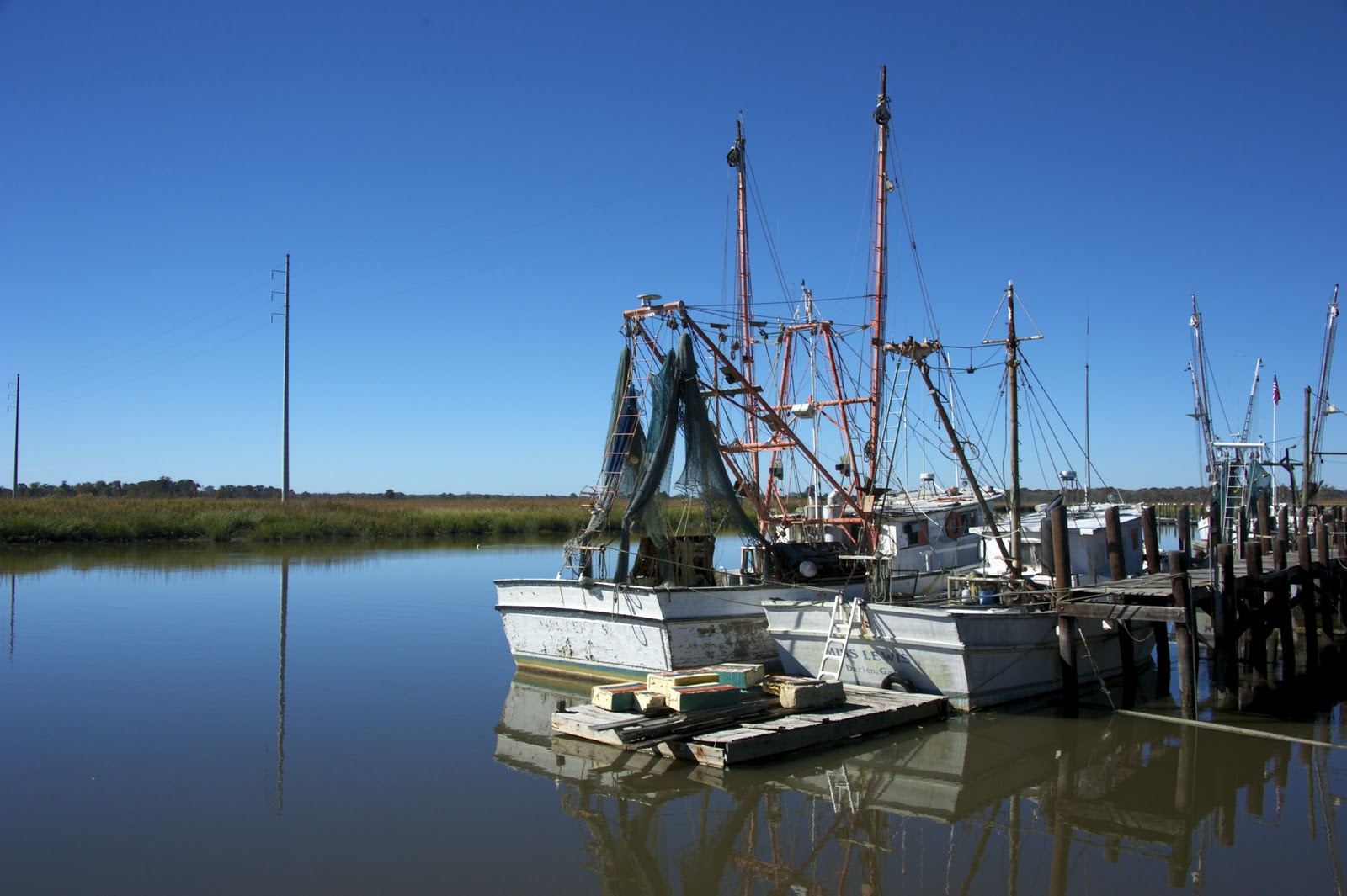 The Flight Continues... The Altamaha River