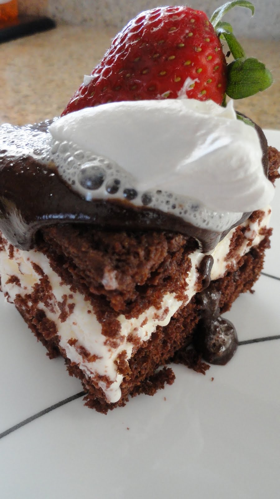 The OnCall Cook Ice Cream Cake with Homemade Hot Fudge