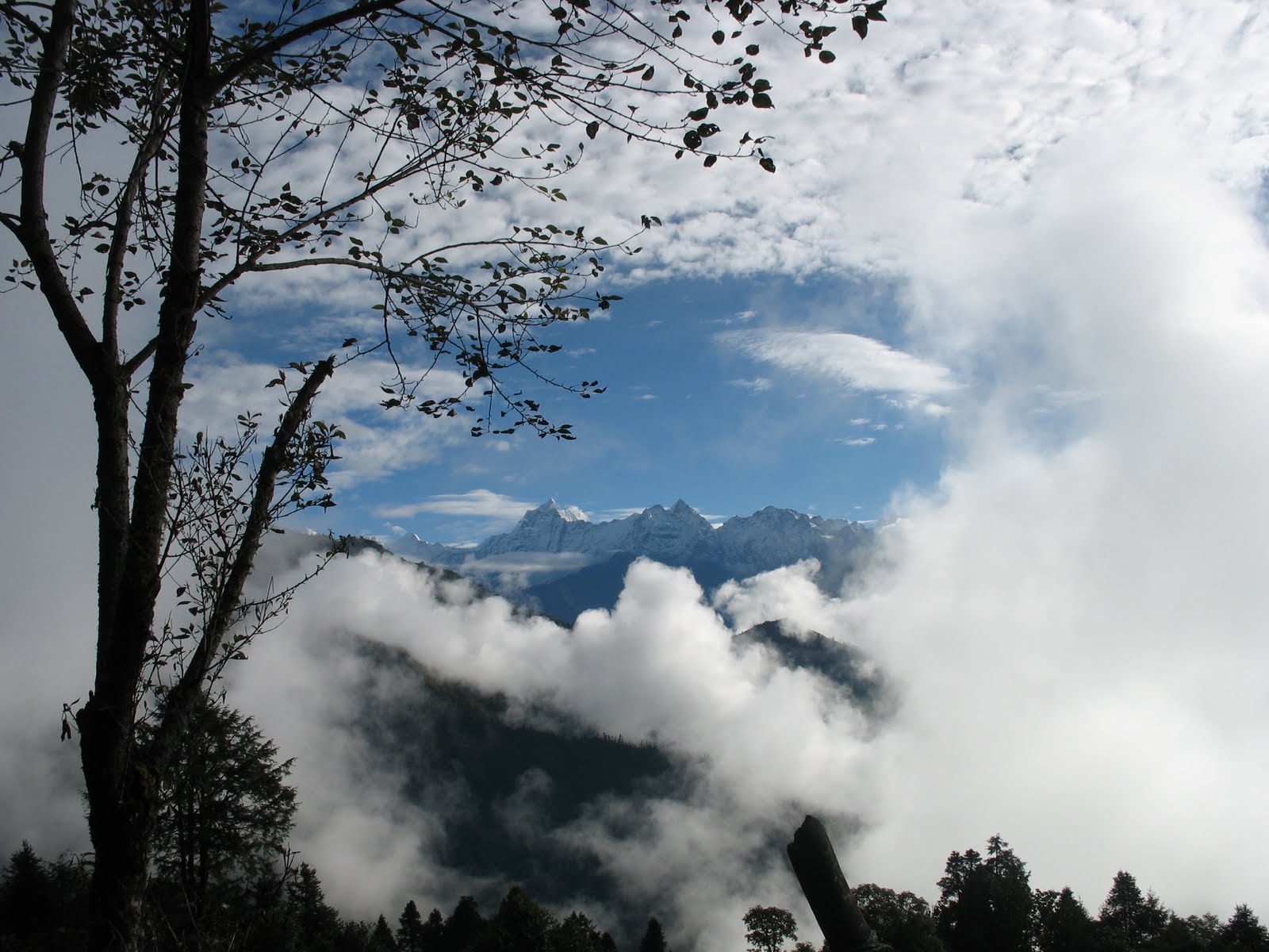 [IMG_6520.jpg]