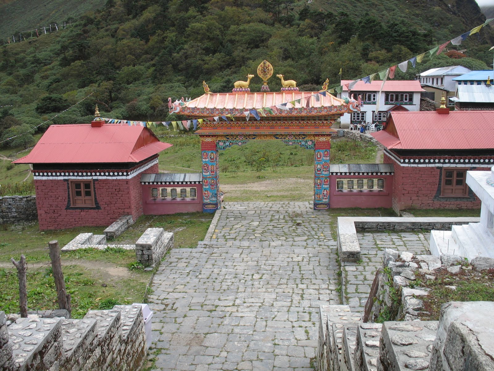 [IMG_6567.jpg]