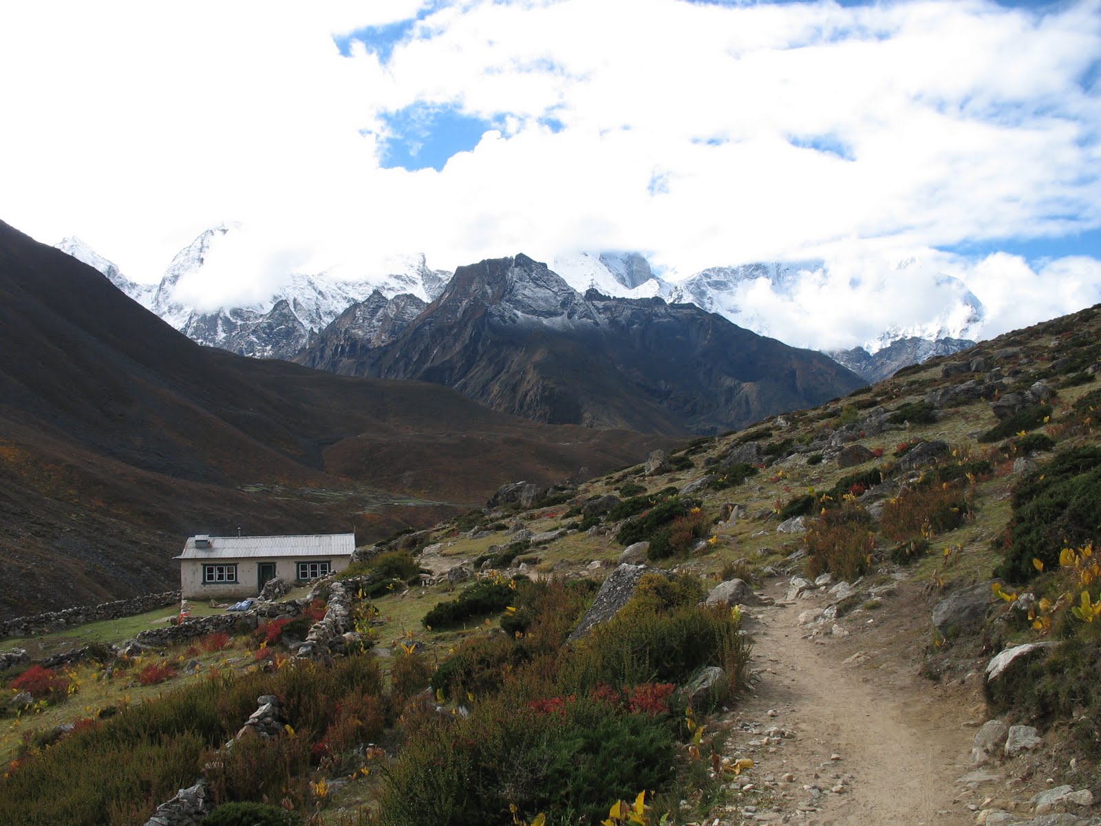 [IMG_6586.jpg]