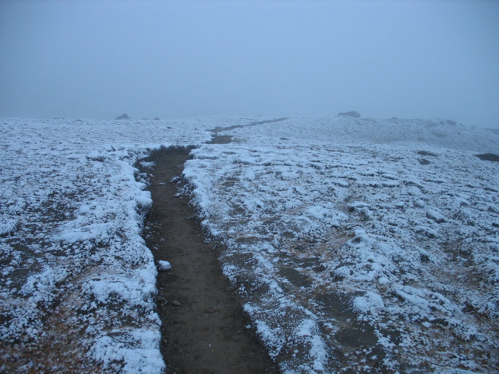[IMG_6661.jpg]