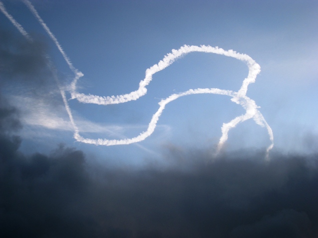 Sky Loop