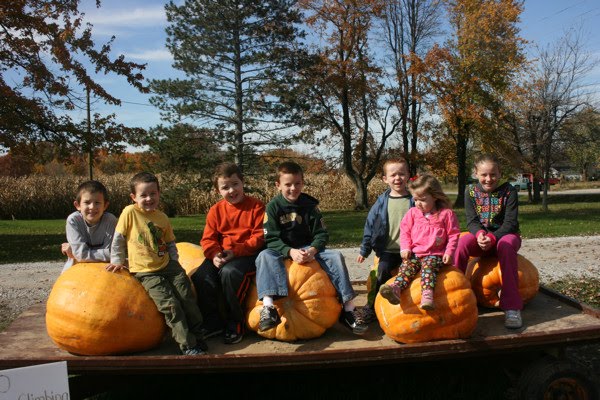 [all+cousins+on+pumpkins.jpg]