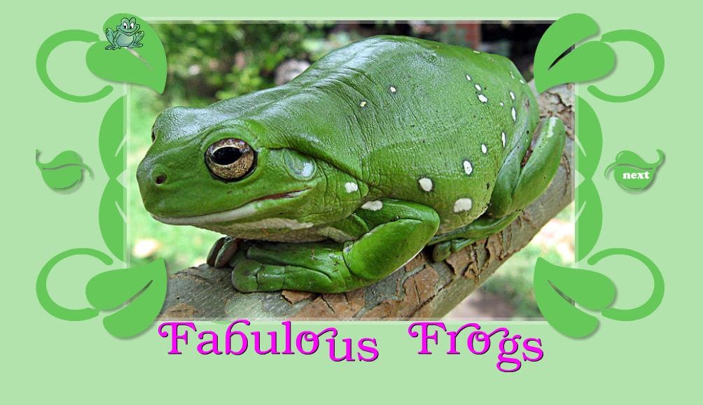 Junior Crew Book Shelf Fabulous Frogs Mighty Books September Special