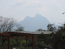 The volcano in which we slept for two nights