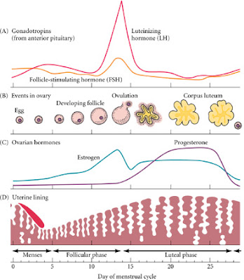 PCOS responds very well to a Polycystic Ovarian Syndrome. PCOS responds very well to a