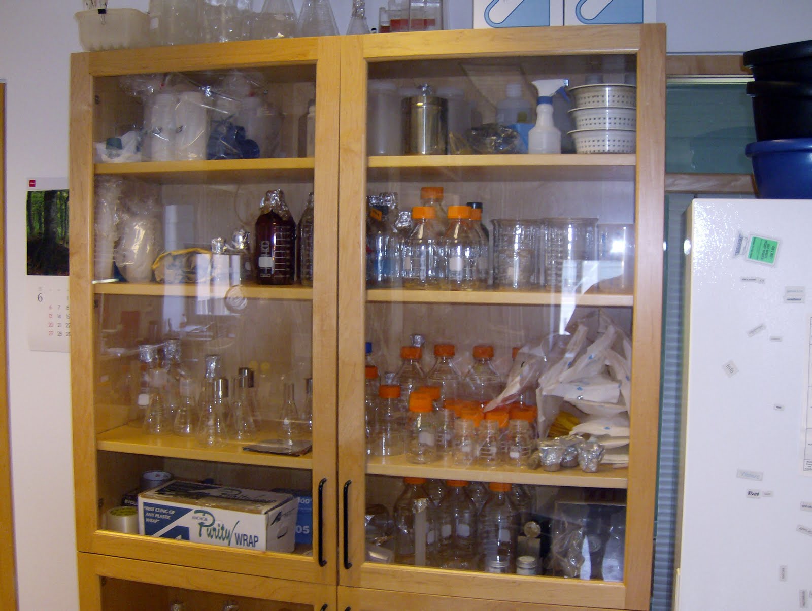 The Doctor's Dishes, Desserts & Decor Kitchen Storage