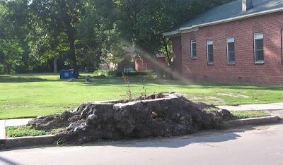 Jesus approves this stump for guerilla gardening Jesus approves this stump for guerilla gardening