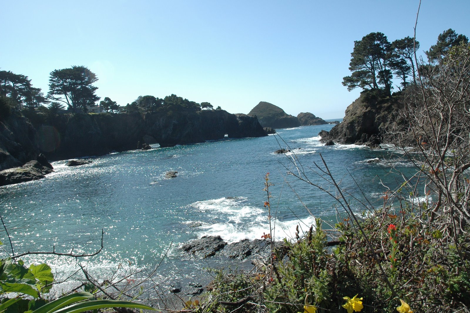 [DSC_9690.JPG]