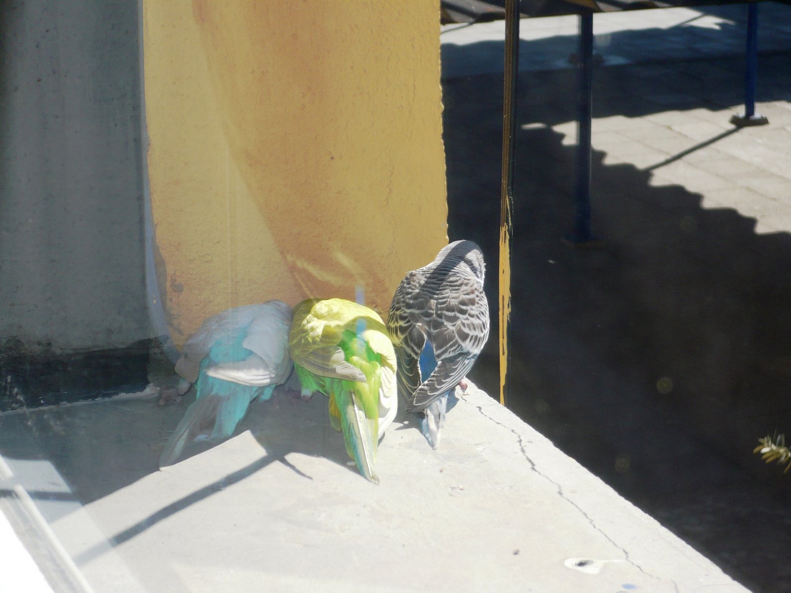 [P1010624.JPG]