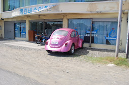 beetle pink