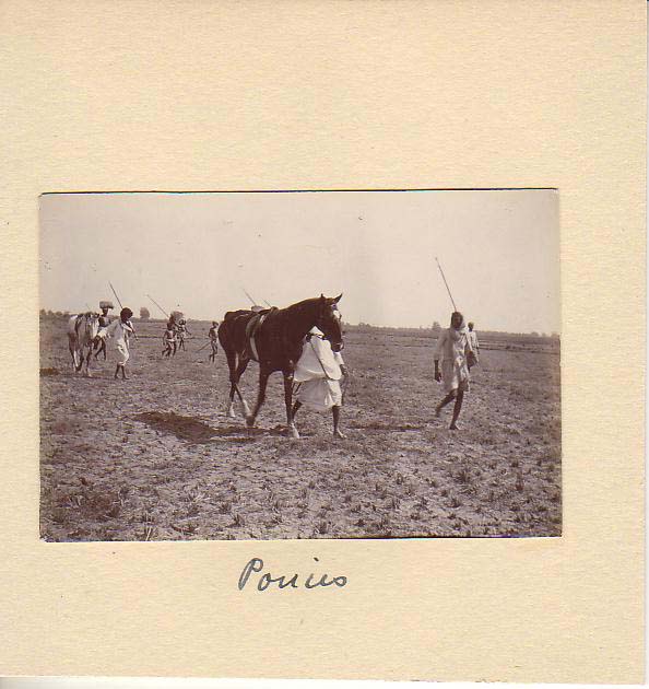 Indian+Agriculture+with+horse+Vintage+Photographs+4