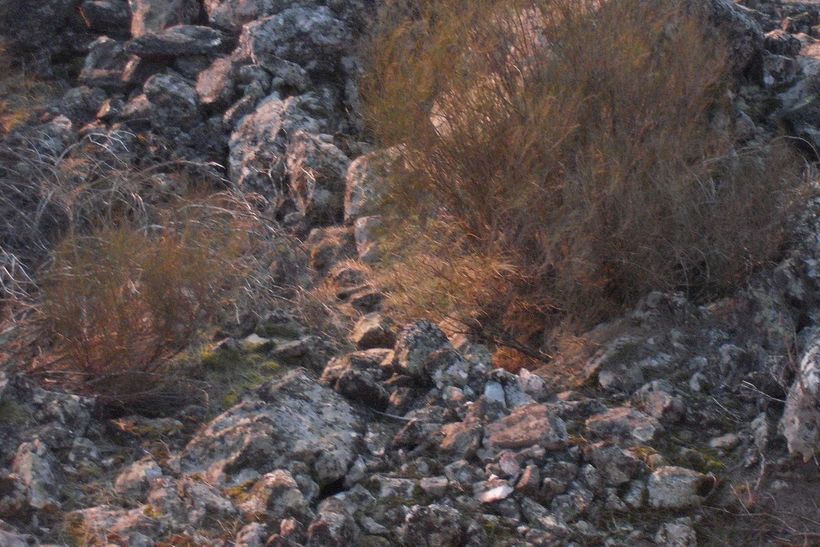 [DSCF1236.JPG]