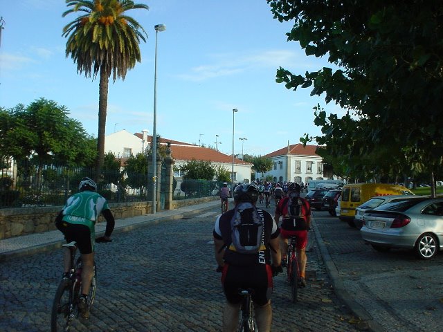 [DSC00174-785087.jpg]