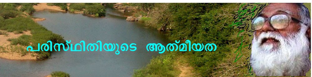 പരിസ്ഥിതിയുടെ ആത്മീയത