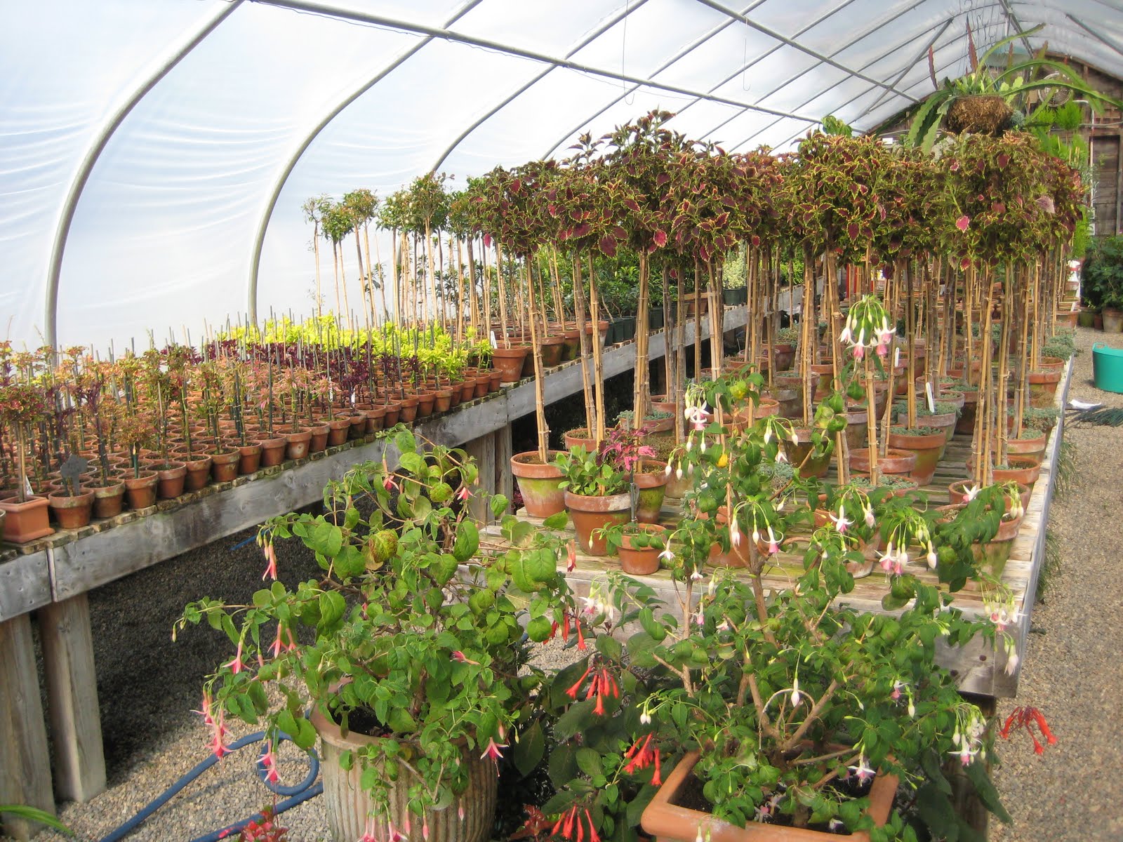 The Gardener's Eye Snug Harbor Farm in Kennebunk, ME