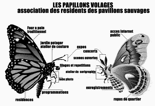 Les papillons volages