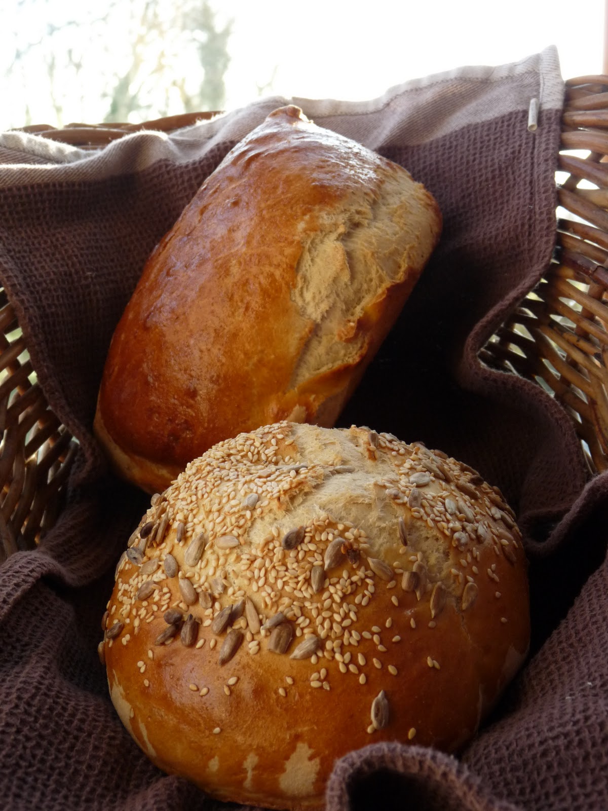 White Yeast Bread | Nessa's Family Kitchen