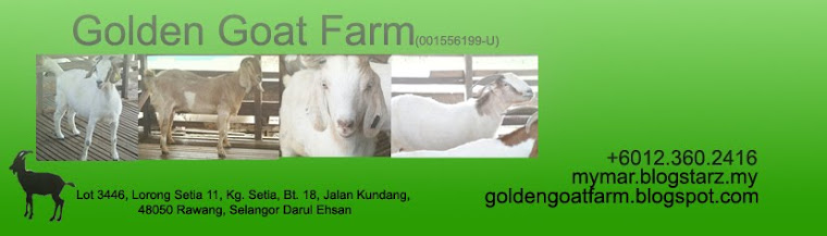 Golden Goat Farm