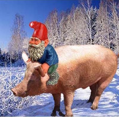1+December+Pig.jpg