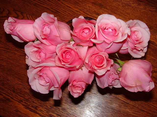 [One+Dozen+Roses.JPG]