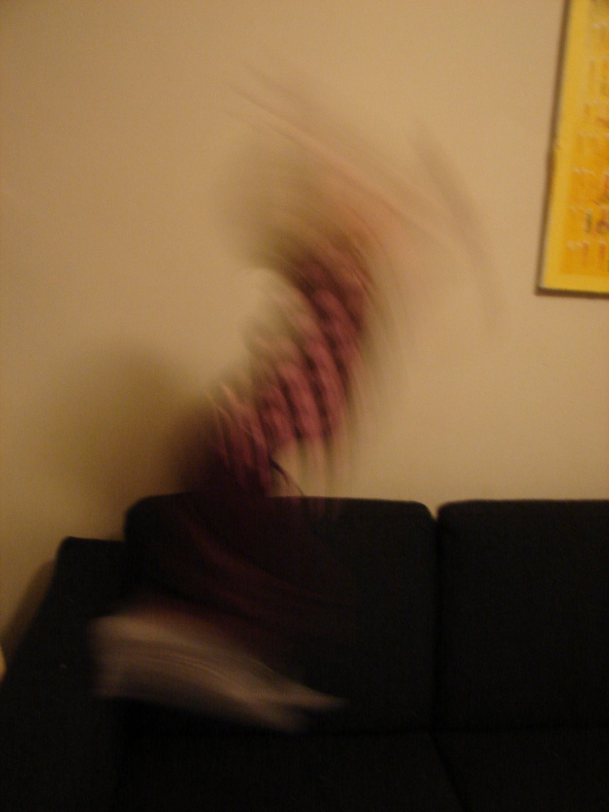 [more+flying+budge+002.JPG]