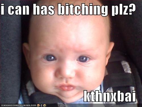 [icanhasbitching.jpg]