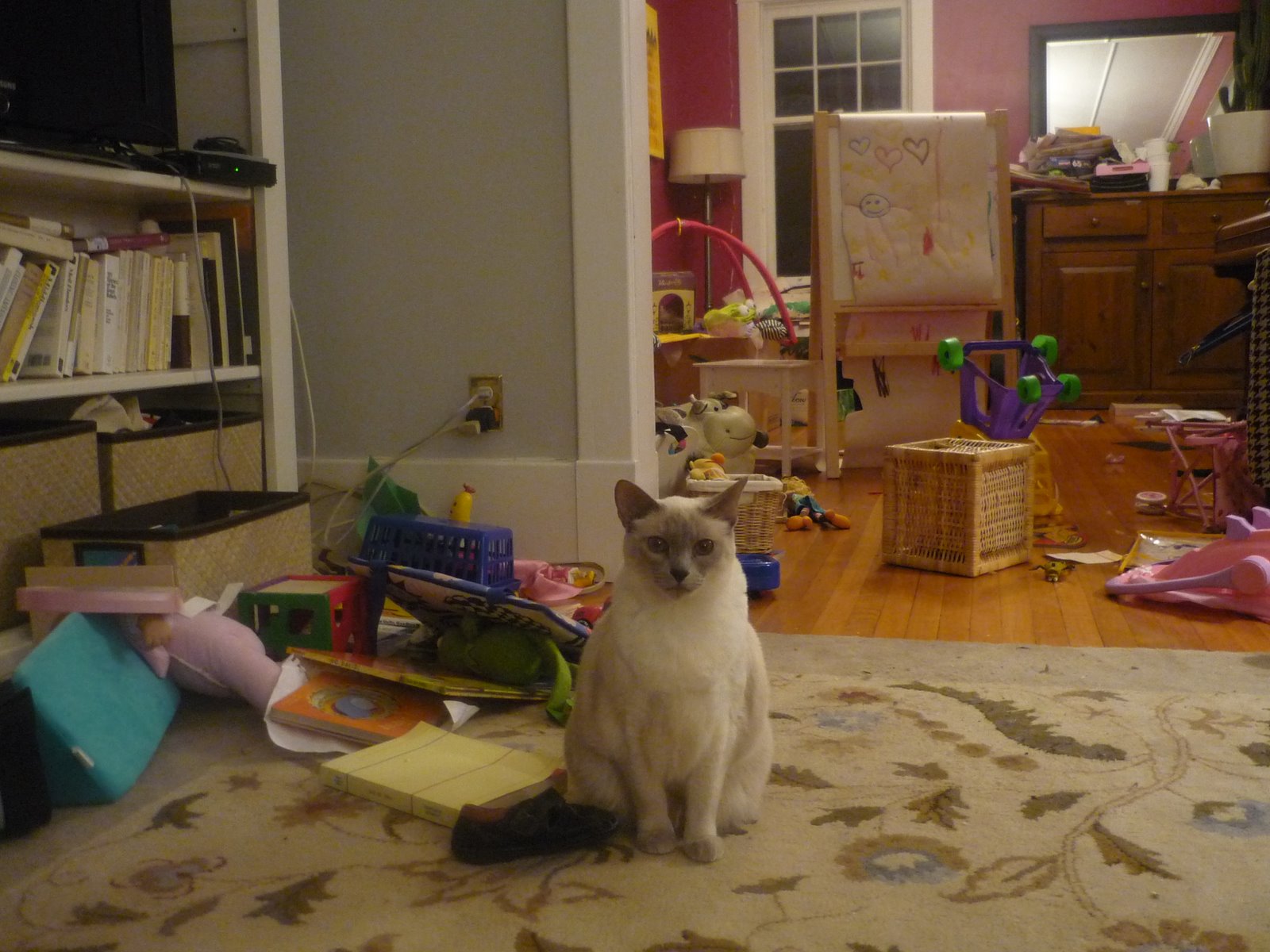 [march+miscellany+120.JPG]