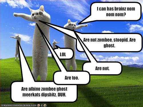 [munday-zombie-catz.jpg]