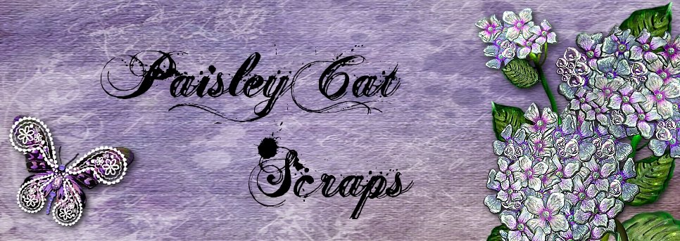 PaisleyCatScraps