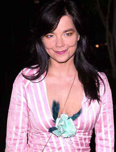 [bjork-picture-5.jpg]
