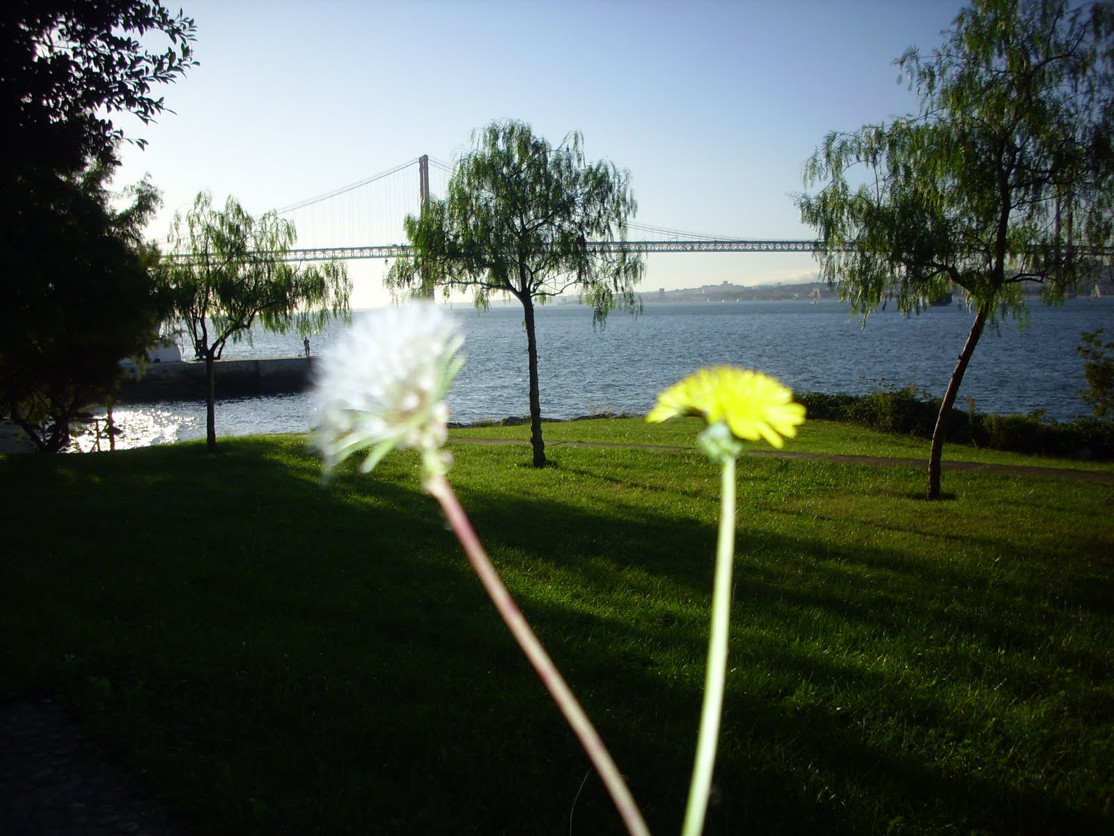 [IMG_1939.JPG]
