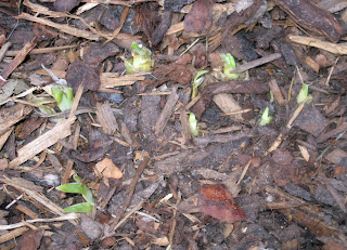 panimula sa aborsyon Kabanata 1 sa pananaliksik (suliranin at kaligiran) 1 “ang suliranin at ang kaligiran nito” by group iii 2 i ang panimula o. panimula sa aborsyon Kabanata 1 sa pananaliksik (suliranin at kaligiran) 1 “ang suliranin at ang kaligiran nito” by group iii 2 i ang panimula o.