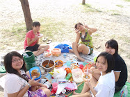 d picnic