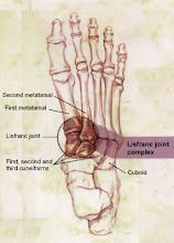 Lisfranc Joint - Top