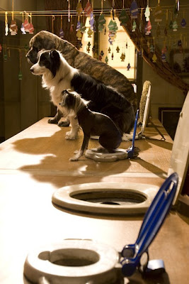 Hotel_for_Dogs_1-18-08-3814-lar...