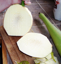 Ulu (breadfruit) and Baseball-bat-squash