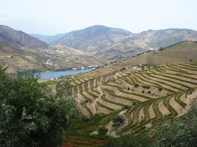 [DSC01113.JPG]