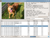 أضف للفايرفوكس عرض مخلفات التصفح Add-ons for firefox to CacheViewer 19904%255B1%255D%5B1%5D