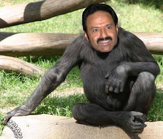 Hate Balayya
