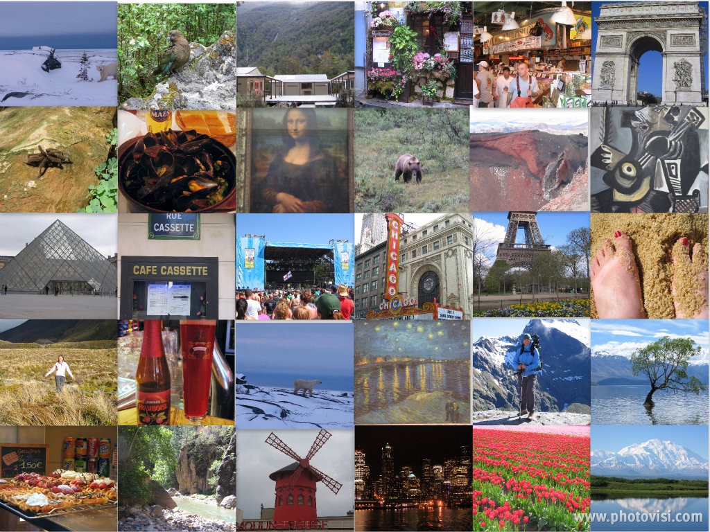 Arctic Garden Studio Bucket List