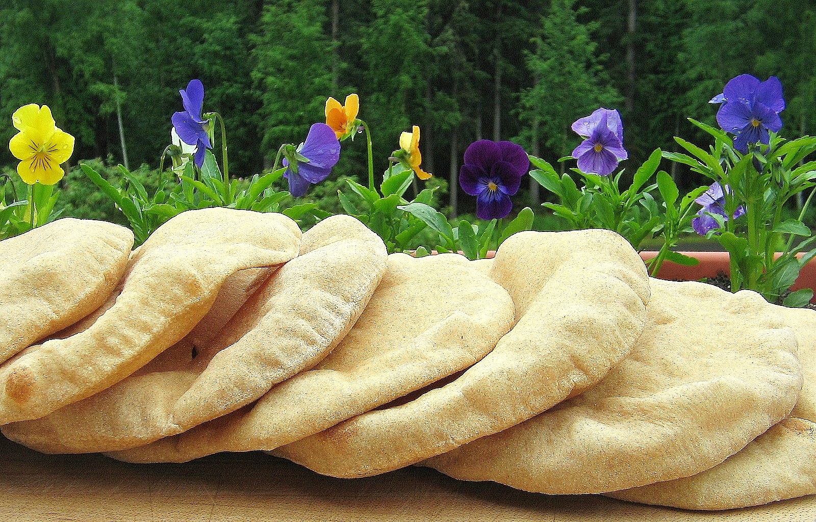 Arctic Garden Studio Pita Bread