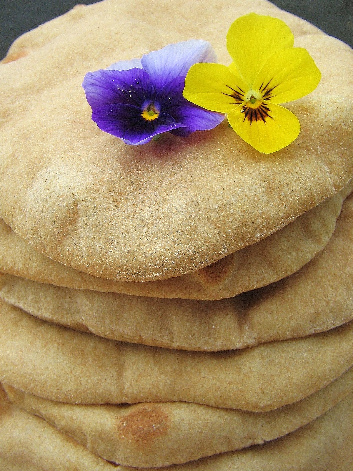 Arctic Garden Studio Pita Bread