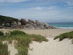 Wilson`s Promontory